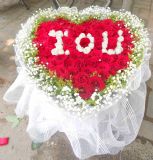 ĳǿҵ
