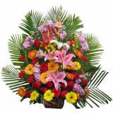 ĳǿҵ