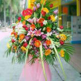 ĳǿҵ