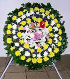 ĳǿҵ