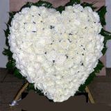 ĳǿҵ